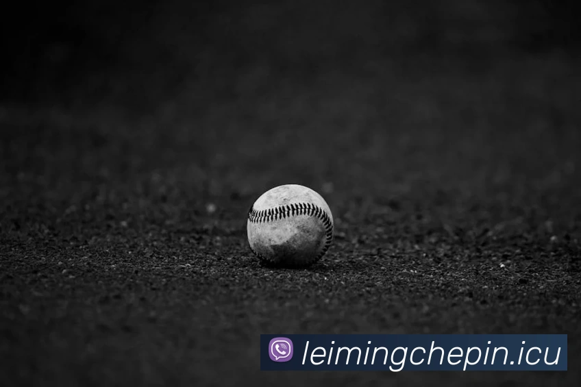 江南jn体育官网服务体系